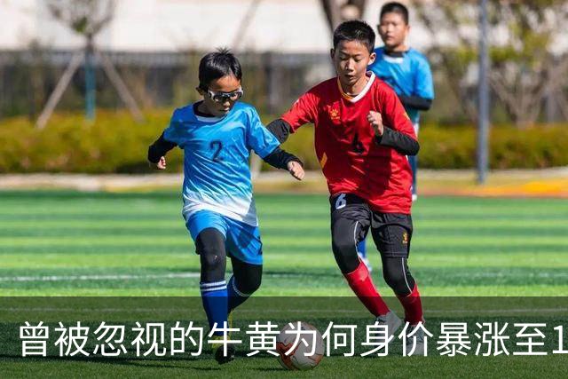 曾被忽视的牛黄为何身价暴涨至165万一公斤