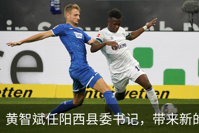 黄智斌任阳西县委书记，带来新的领导使命